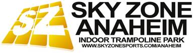 Skyzone Indoor Trampoline Park