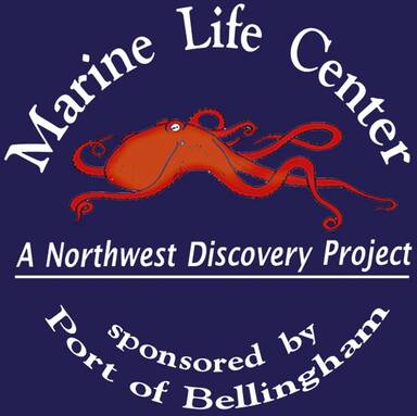 Marine Life Center