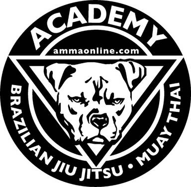 Academy of Mixed Martial Arts