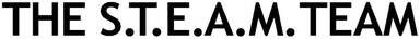 The S.T.E.A.M Team