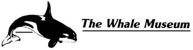 The Whale Museum